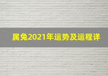 属兔2021年运势及运程详