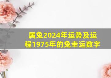 属兔2024年运势及运程1975年的兔幸运数字