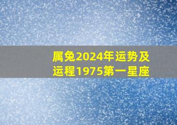 属兔2024年运势及运程1975第一星座