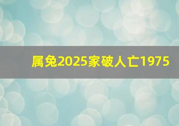 属兔2025家破人亡1975