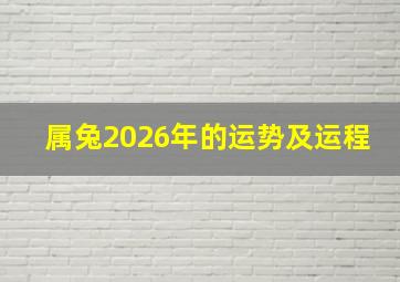 属兔2026年的运势及运程