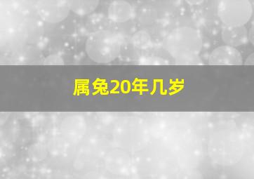 属兔20年几岁