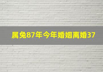 属兔87年今年婚姻离婚37