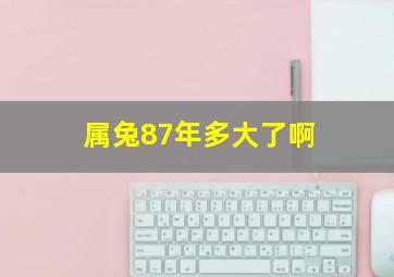 属兔87年多大了啊