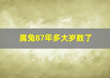 属兔87年多大岁数了