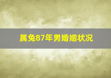 属兔87年男婚姻状况