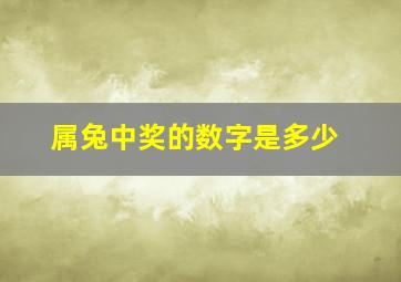 属兔中奖的数字是多少