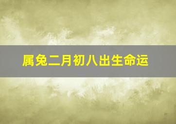 属兔二月初八出生命运