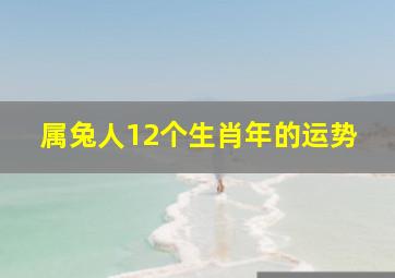 属兔人12个生肖年的运势