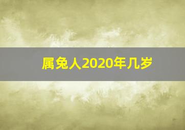 属兔人2020年几岁