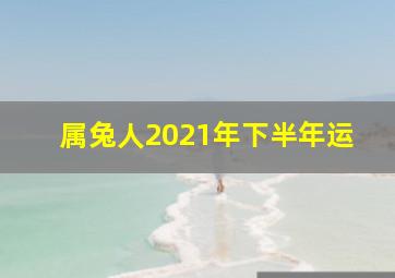 属兔人2021年下半年运