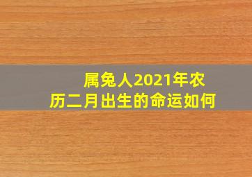 属兔人2021年农历二月出生的命运如何