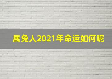 属兔人2021年命运如何呢