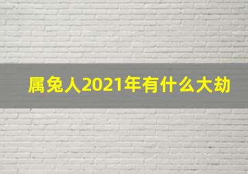 属兔人2021年有什么大劫