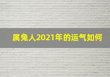 属兔人2021年的运气如何