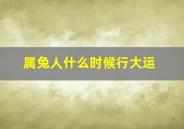 属兔人什么时候行大运