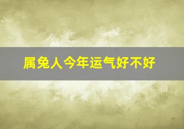 属兔人今年运气好不好