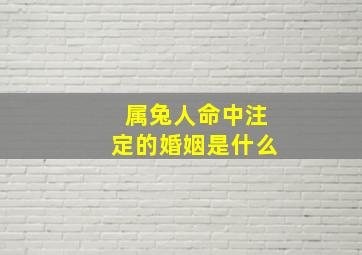 属兔人命中注定的婚姻是什么