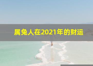 属兔人在2021年的财运