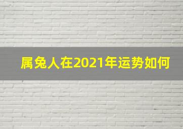 属兔人在2021年运势如何