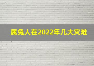 属兔人在2022年几大灾难