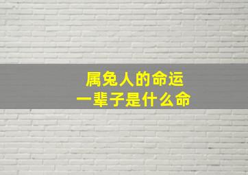 属兔人的命运一辈子是什么命