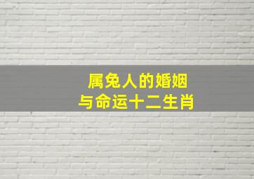 属兔人的婚姻与命运十二生肖