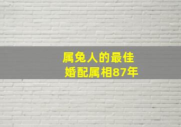 属兔人的最佳婚配属相87年