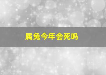 属兔今年会死吗