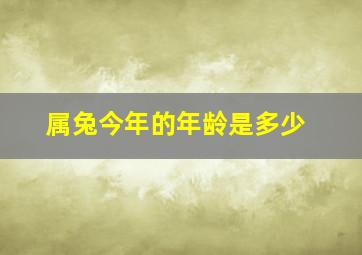 属兔今年的年龄是多少