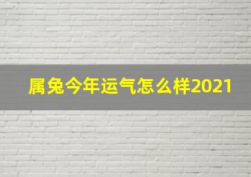 属兔今年运气怎么样2021