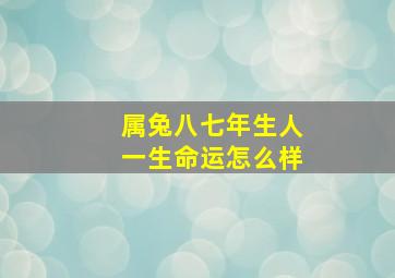 属兔八七年生人一生命运怎么样