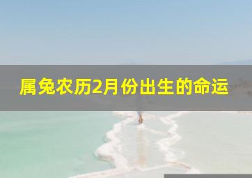 属兔农历2月份出生的命运