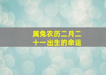 属兔农历二月二十一出生的命运