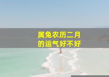 属兔农历二月的运气好不好