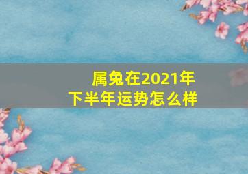 属兔在2021年下半年运势怎么样