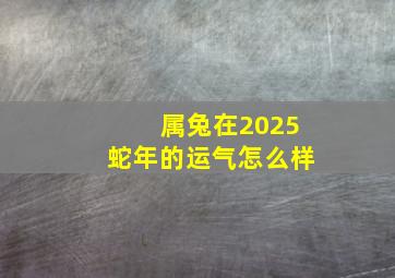 属兔在2025蛇年的运气怎么样