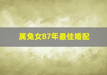 属兔女87年最佳婚配