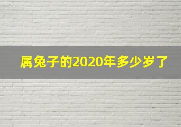 属兔子的2020年多少岁了