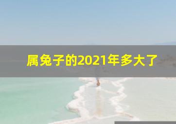 属兔子的2021年多大了