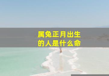 属兔正月出生的人是什么命