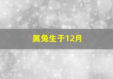 属兔生于12月