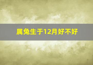 属兔生于12月好不好