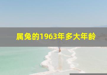 属兔的1963年多大年龄