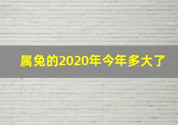 属兔的2020年今年多大了