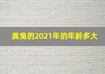 属兔的2021年的年龄多大