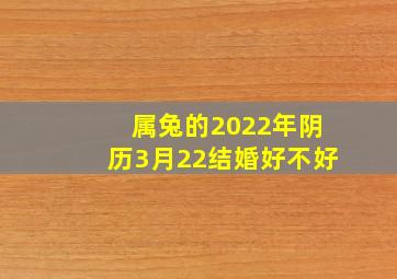 属兔的2022年阴历3月22结婚好不好