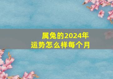 属兔的2024年运势怎么样每个月