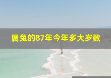 属兔的87年今年多大岁数