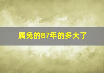 属兔的87年的多大了